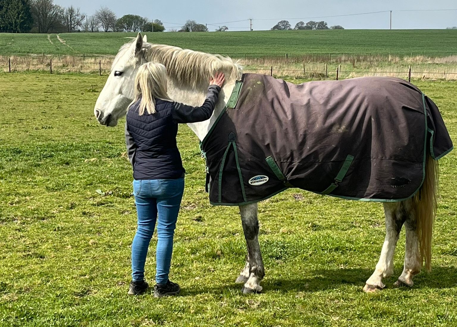 Tapping into the wisdom of the herd – One day workshop